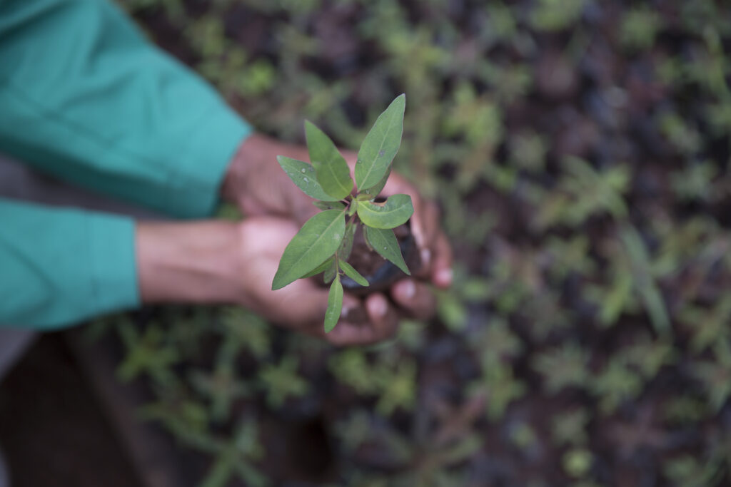 Securing a greener future for Kenya calls for a collective responsibility