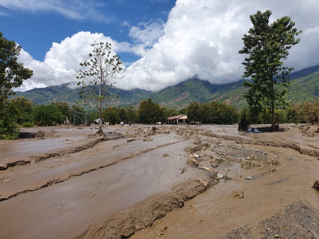REDD+ Process in Kenya: Towards addressing the negative impact of climate change
